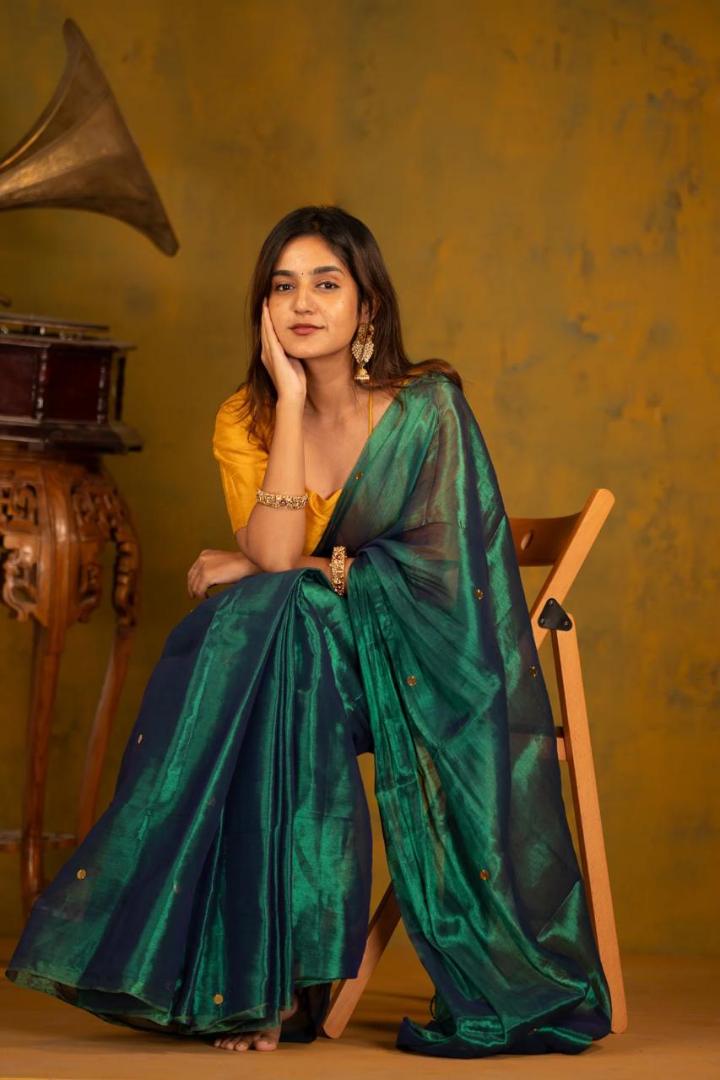 Handloom All Body Gini Sequence Tissue Cotton